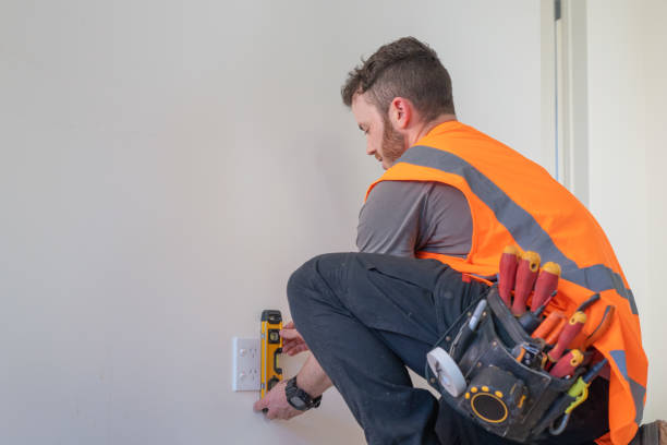 Best Electric Panel Repair  in Frisco City, AL